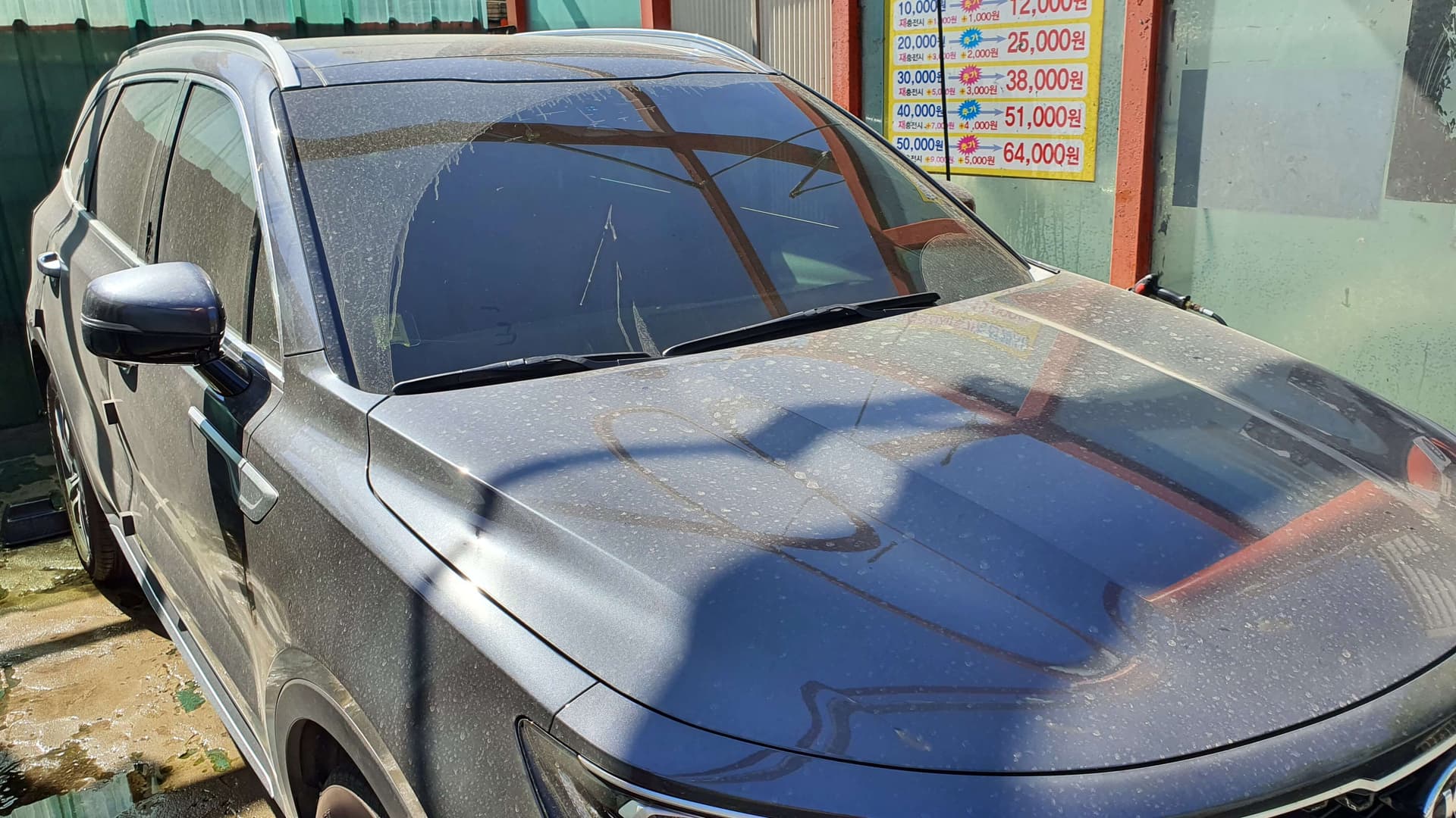 [세차인증] 우리집 셋째 일주일에 한번 목욕시켜주기 게시글 썸네일