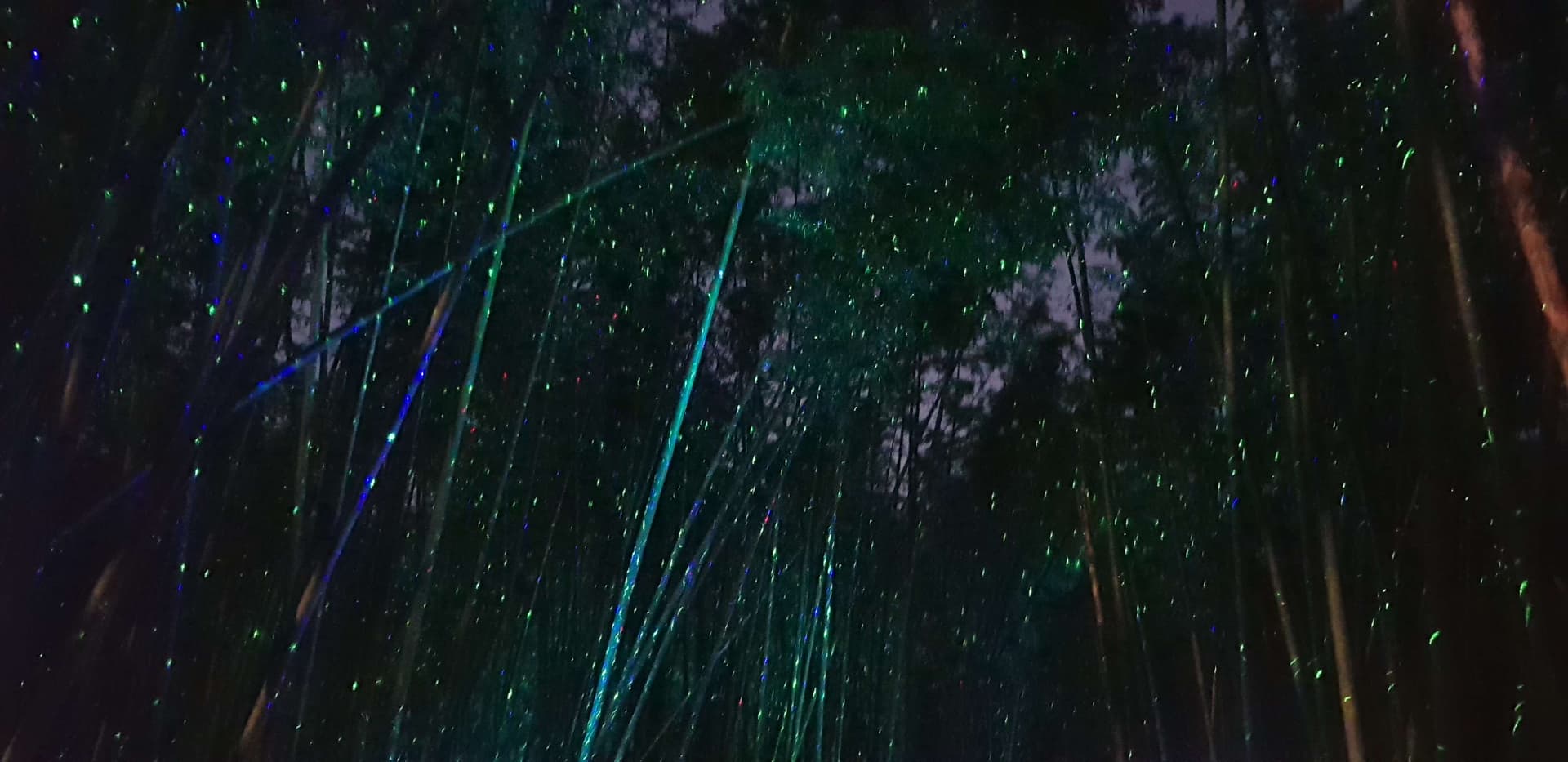 (비차량)태화강 국가정원 은하수길 게시글 썸네일