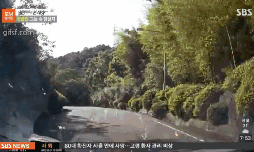 (퍼옴)자동차 보호색 레젼드? 게시글 썸네일