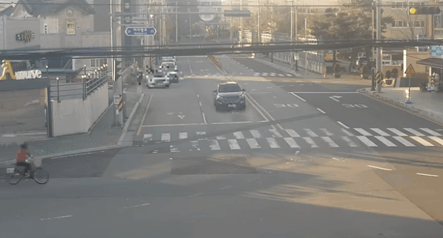 역주행하다 혼자 넘어진 자전거' 치료비 2200만원 물어준 운전자 게시글 썸네일