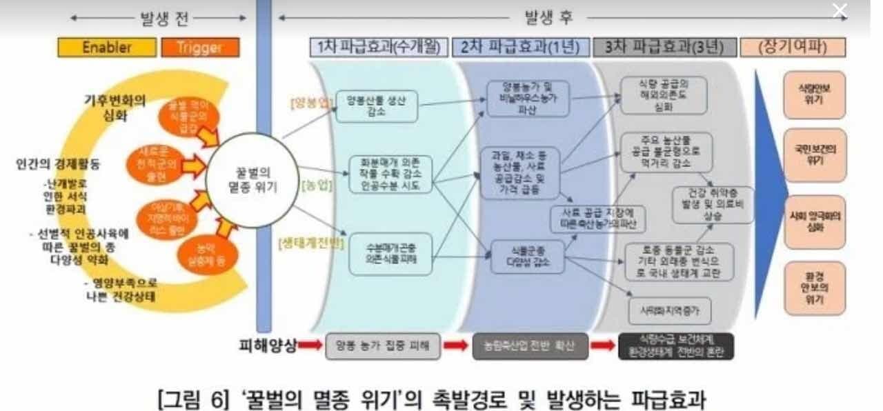(비차량) 꿀벌 멸종위기  게시글 썸네일