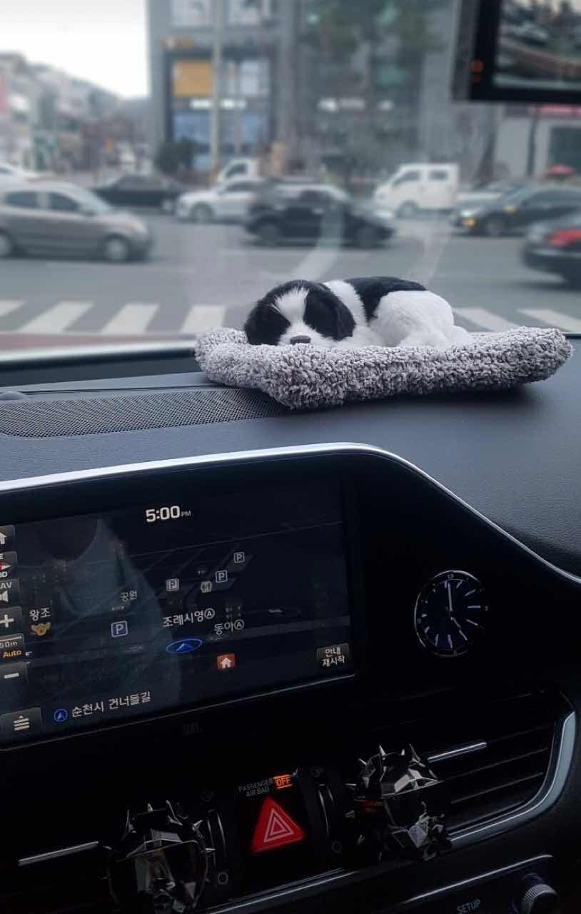 실내만 보고 무슨 브랜드 인지 아는 능력자분? 게시글 썸네일