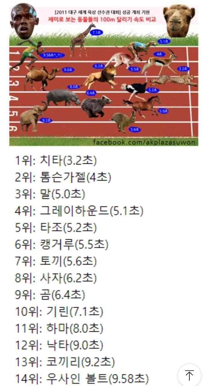 (비차량)재미로 보는 동물들의 100m달리기 속도 비교 게시글 썸네일