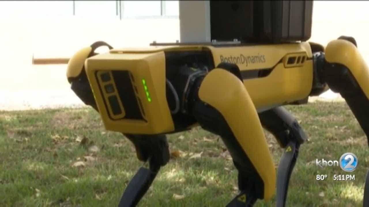 현대차 '로봇견' 도덕성 논란 게시글 썸네일