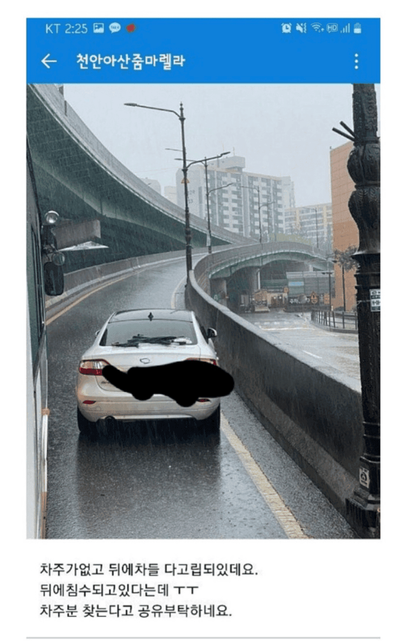 차좀빼주세요 게시글 썸네일