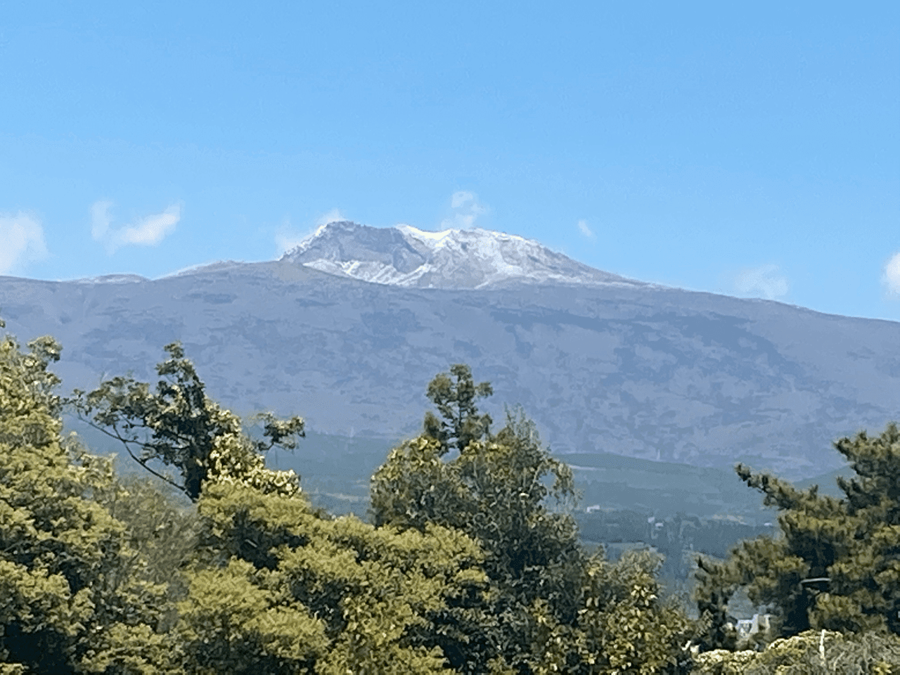 비는 잦아들고 무더위만 남았나요... 게시글 썸네일
