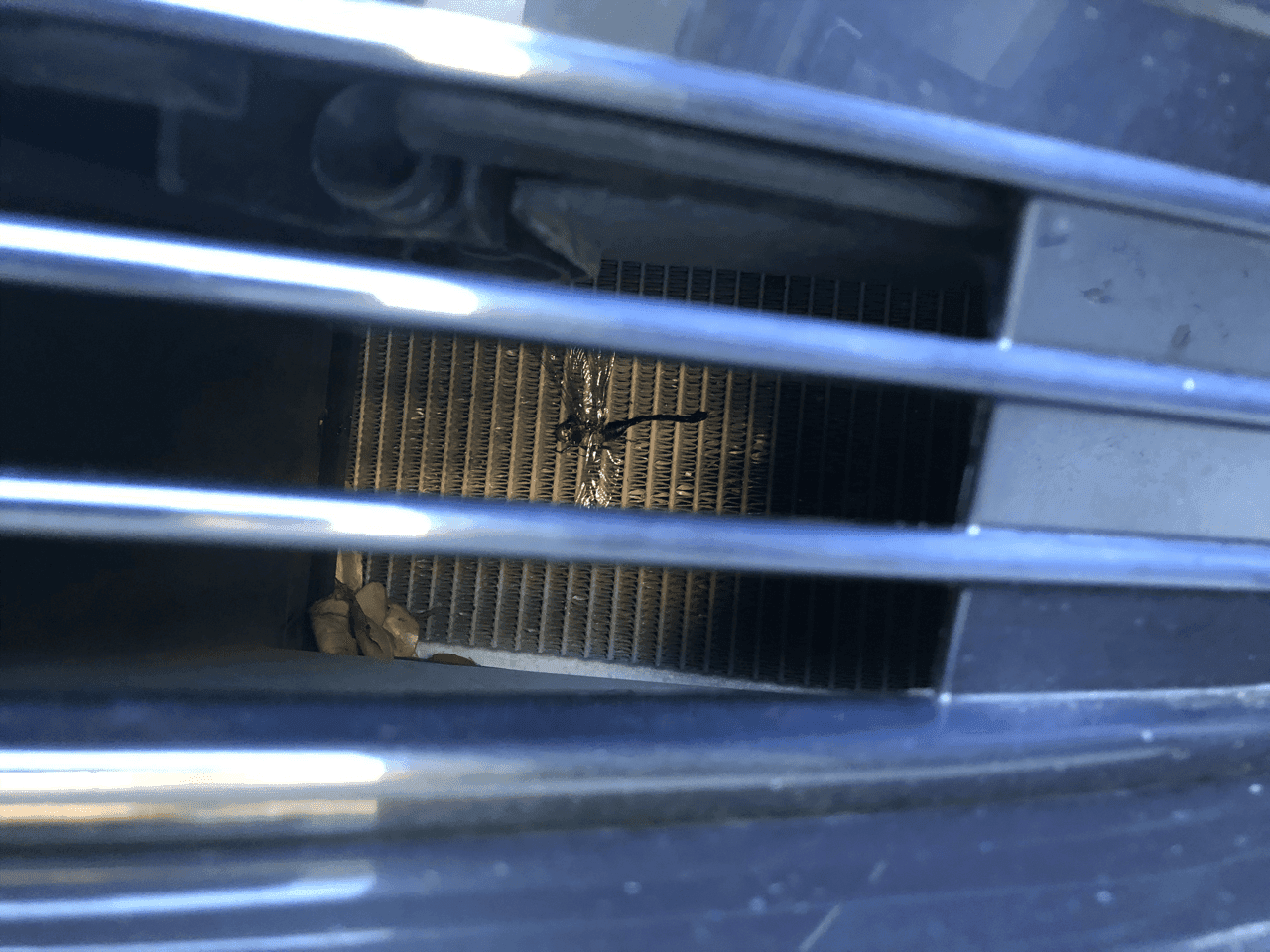 라디에이터에 벌레 이거 어떻게 뺄까요? 게시글 썸네일