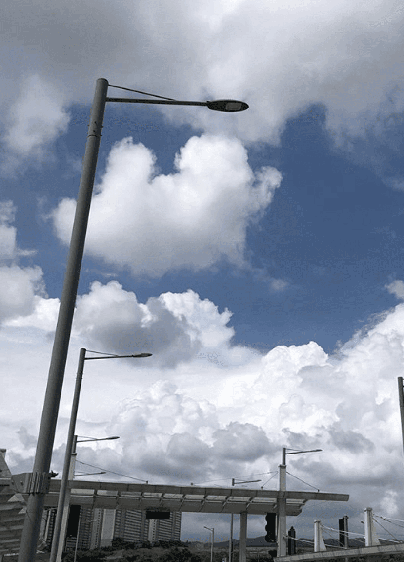 안구 정화 함 하실게요~!  게시글 썸네일