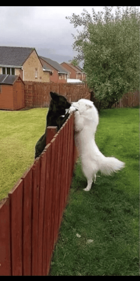 엄마아빠 반반닮음 게시글 썸네일