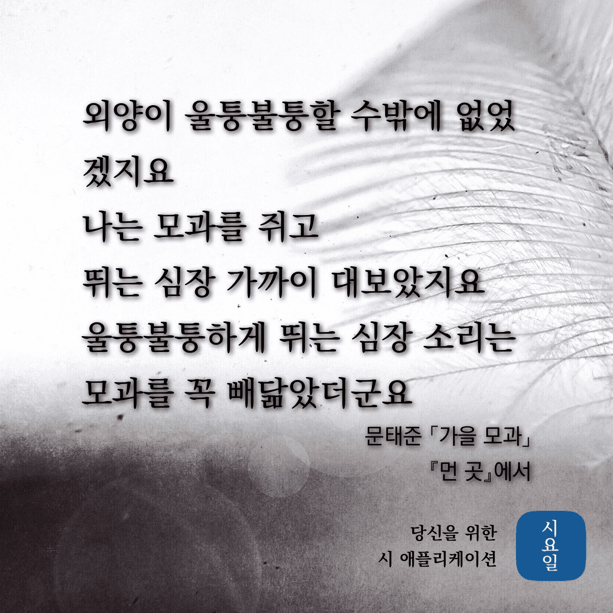 겟차 회원님들 또다른 관심주제 -시- 게시글 썸네일