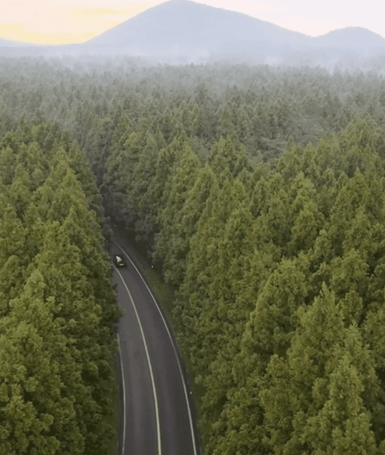 겟차 회원님들의 또다른 관심주제-영어4편- 게시글 썸네일