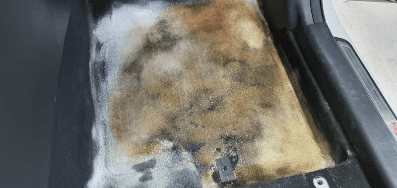 자동차 곰팡이 ... 충격 게시글 썸네일