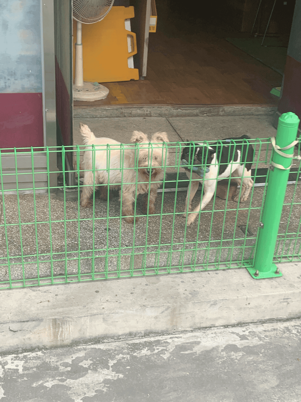 E클 페이스리프트 e250 VS e350 옵션차이 큰가요? 게시글 썸네일