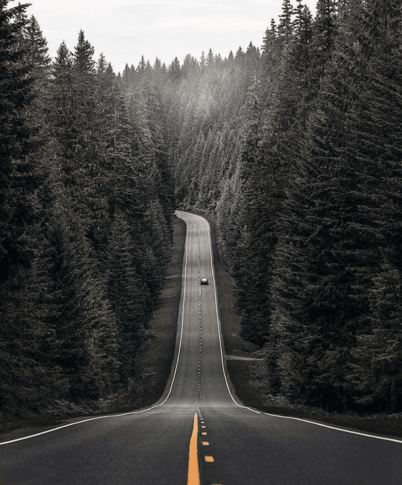 드라이브 함 가실까요 -2- 게시글 썸네일