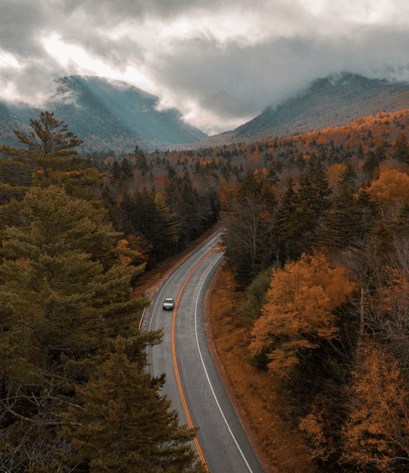 가을이 조금 천천히 갔으면 좋겠습니다  게시글 썸네일