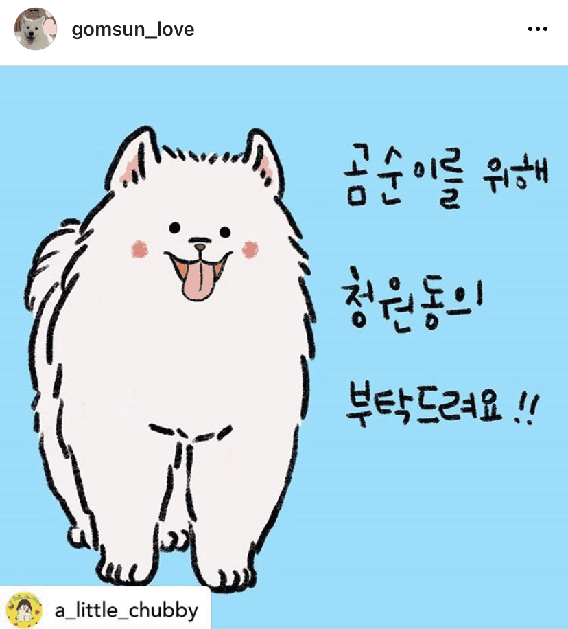 반려동물 키우시는 회원님들 함 보세요 게시글 썸네일