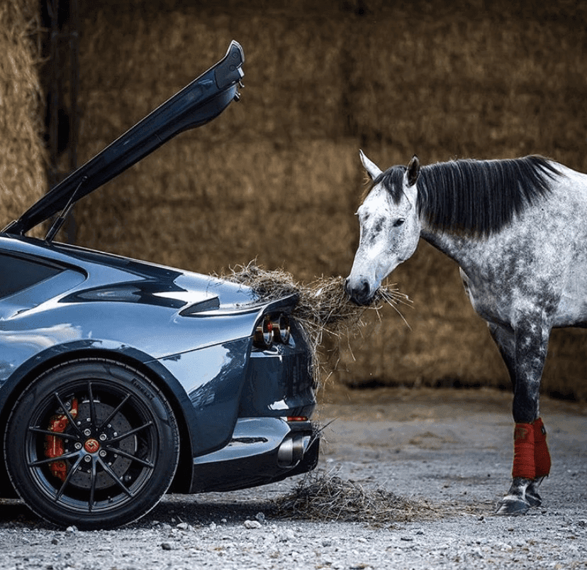 페라리의 놀라운 쓰임새  게시글 썸네일