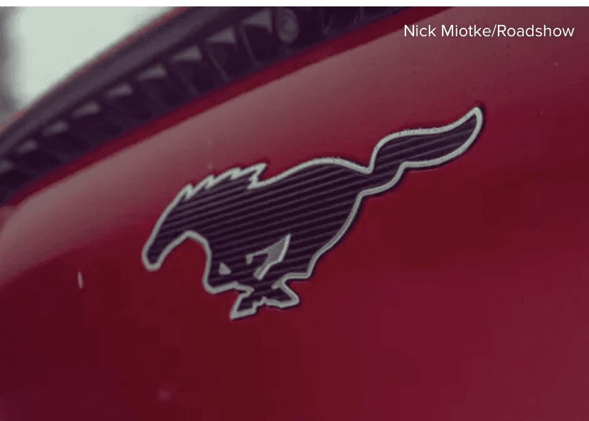 포드의 ⚡️ 전기차 기대주 <마하E> 300마일 주파 게시글 썸네일