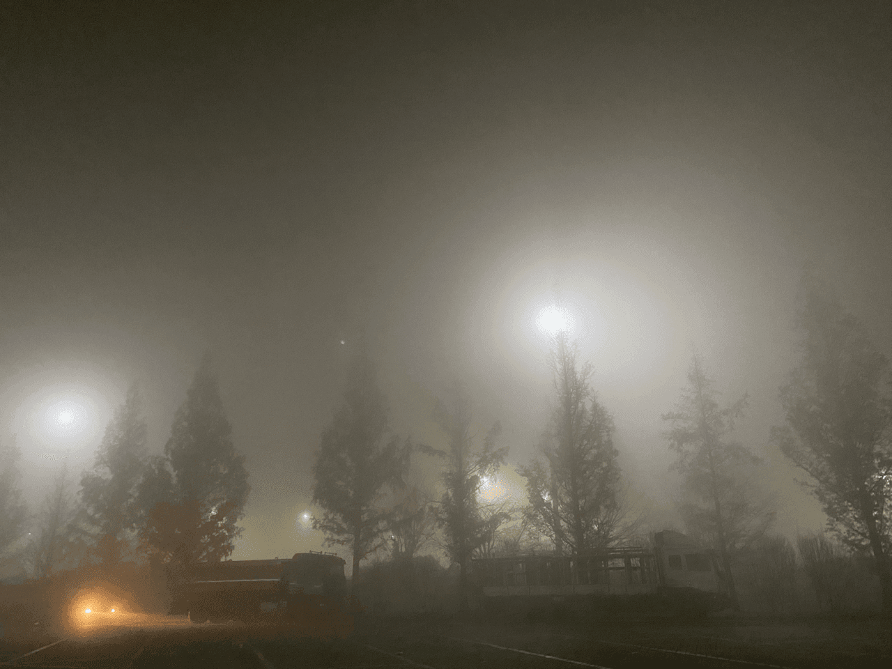 ?안개에 갇힌 ?자유로에서 게시글 썸네일