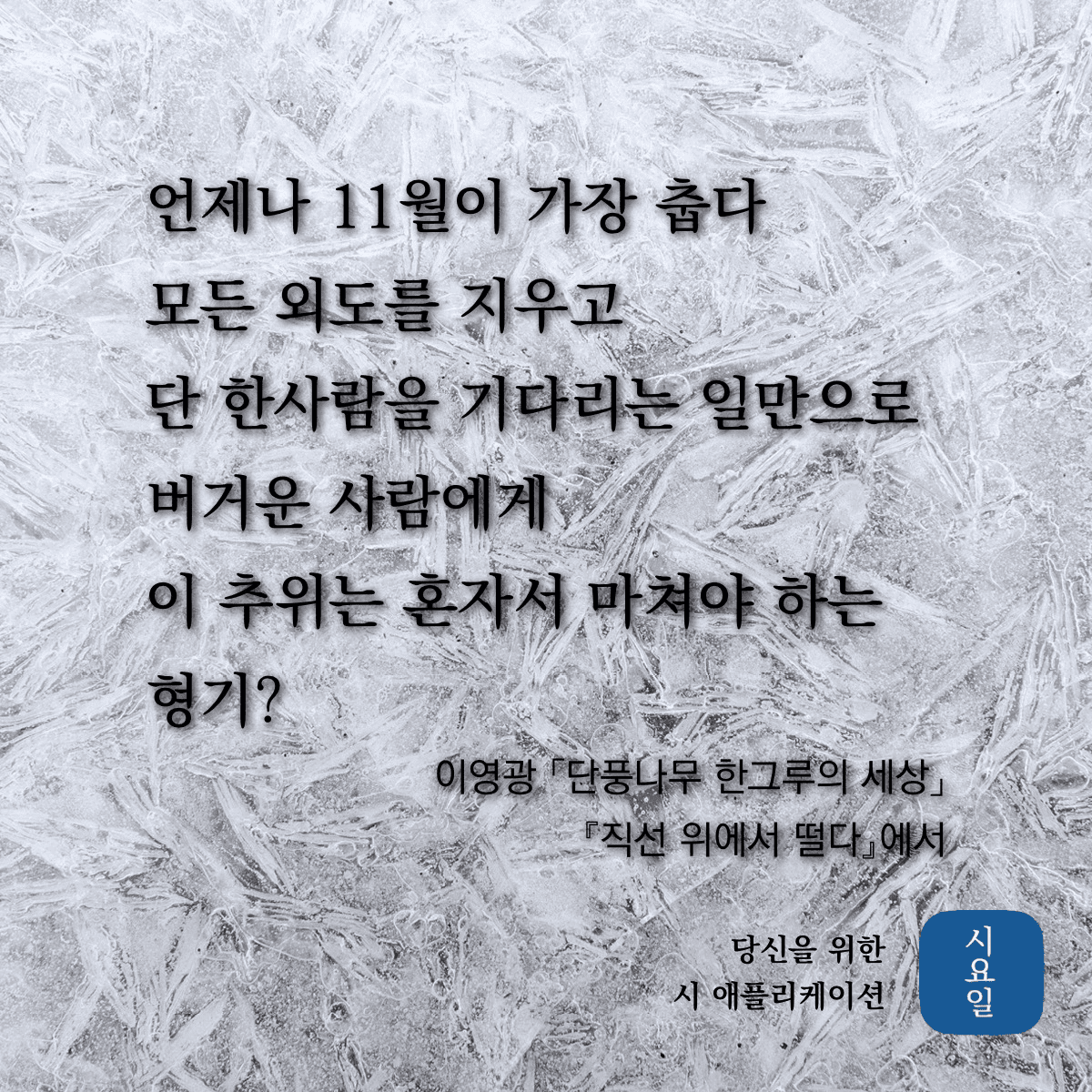 겟차 회원님들 또다른 관심주제 -시 3편-  게시글 썸네일