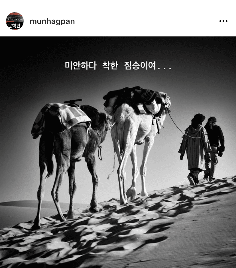 (시 산문집) 사막에서는 길을 묻지 마라 중에... 게시글 썸네일