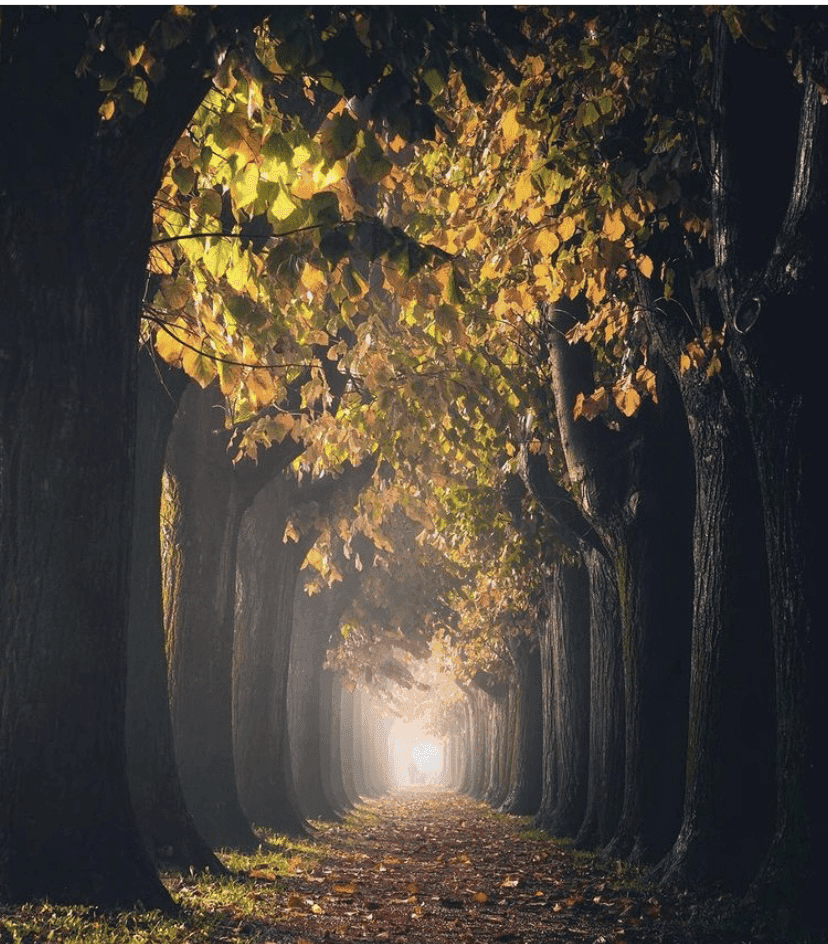 (배경화면) 여러분이 달리고 싶은 길은?  게시글 썸네일