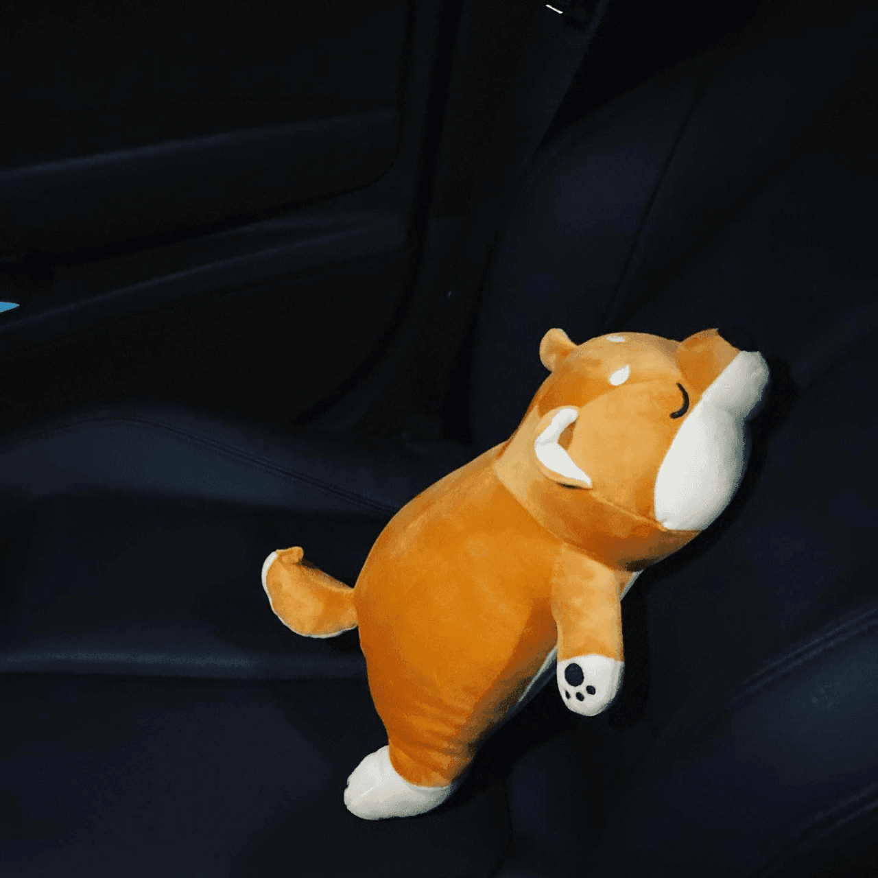 소소한 다이?(?)ㅋㅋㅋㅋ 게시글 썸네일