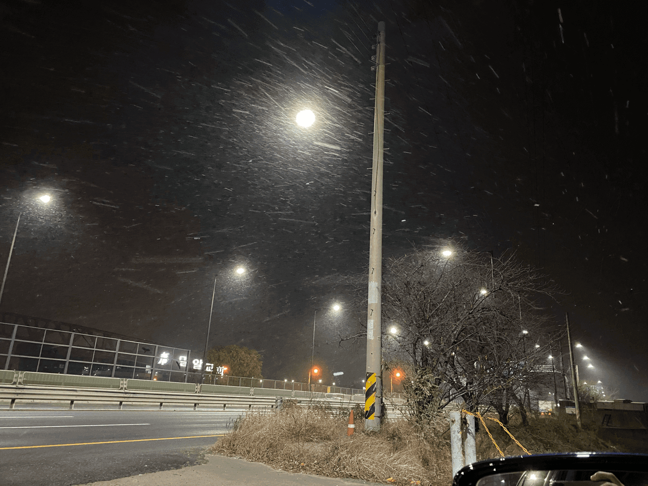 첫눈⛄️이네요! 게시글 썸네일