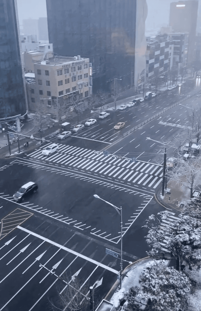 (안구정화) 삼천리금수강산 곳곳에 ? 눈이 왔어요 게시글 썸네일