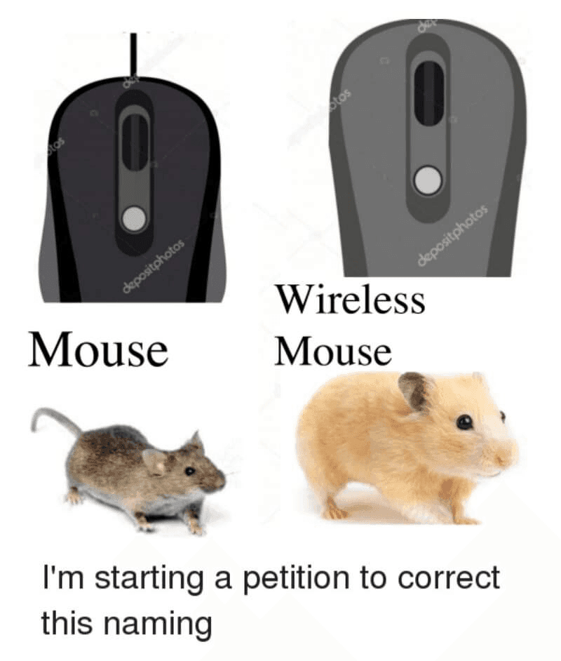 IT) 햄스터 ('무선 마우스' 대신) 게시글 썸네일