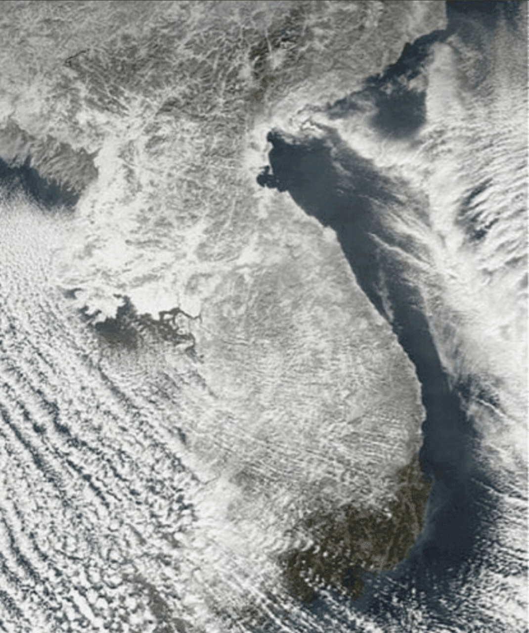 전국 눈 지도 게시글 썸네일