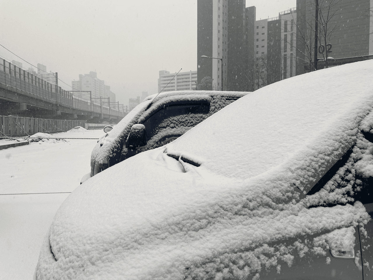 와! ?또 폭설이네요, 운전 조심하세요! 게시글 썸네일
