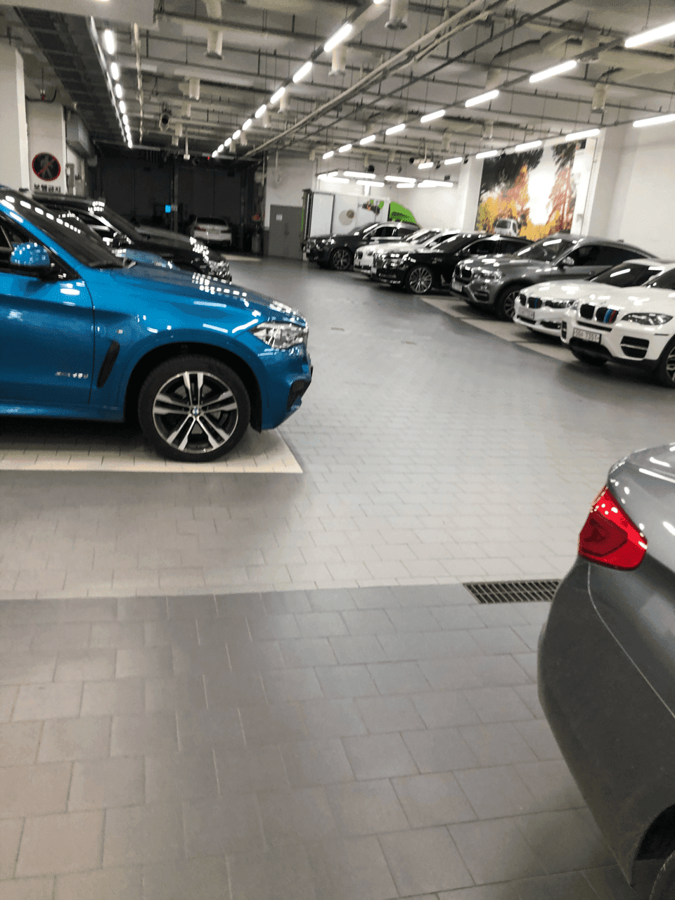 BMW 해운대 센터 방문 게시글 썸네일