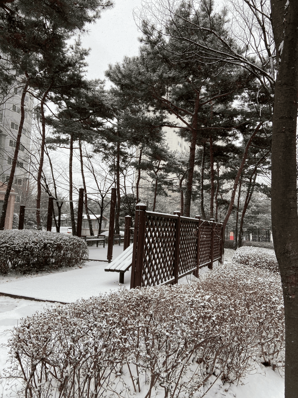 이 시각 충청 대설주의보 ??? 게시글 썸네일