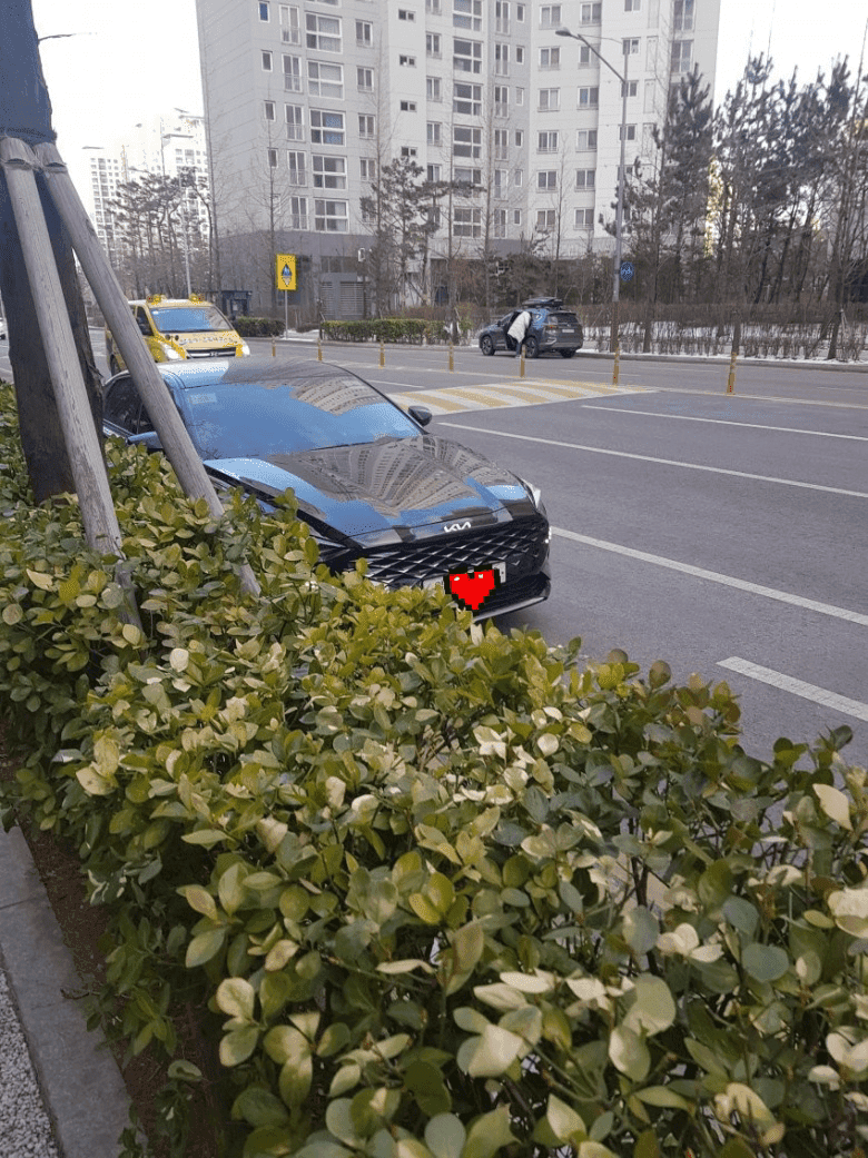 (특종) 기아 K8 위장막 없는 사진 게시글 썸네일