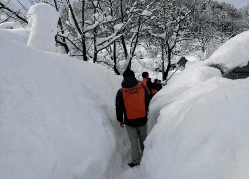 (비차량) 영동지역 폭설을 보면서... 게시글 썸네일