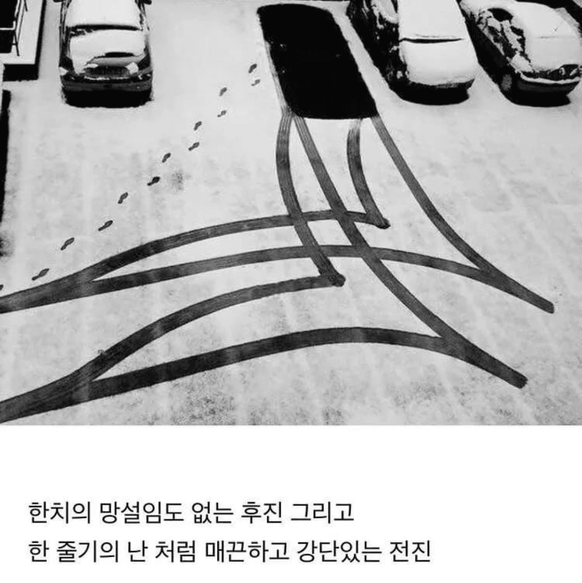 겨울에 완성된 한폭의 예술 게시글 썸네일