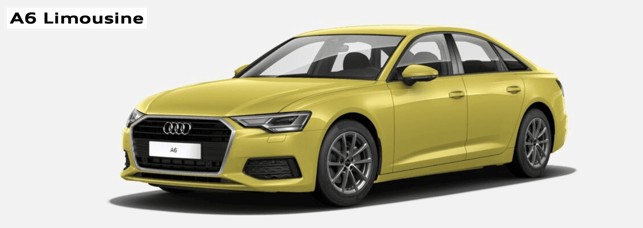 프리미엄 브랜드 E세그먼트 깡통 등급 옵션 비교  게시글 썸네일