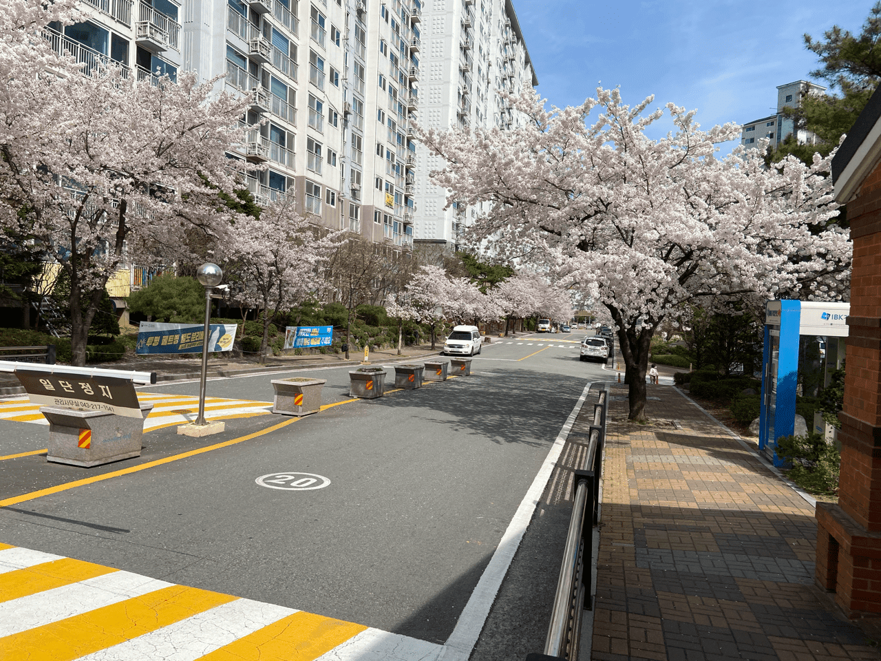 (시승기) X5 45e 6기통 참맛을 느껴 버렸네요 ? 게시글 썸네일