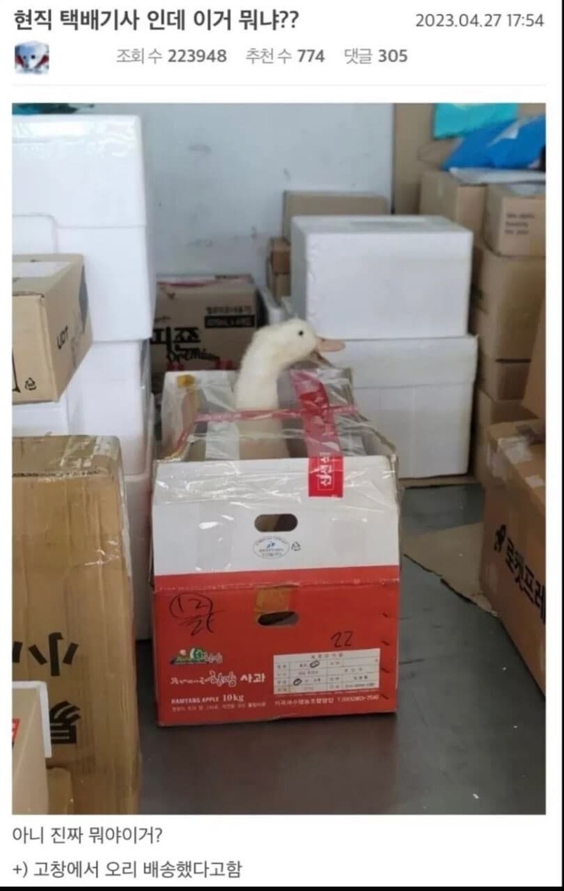 택배 ㅋㅋ 게시글 썸네일