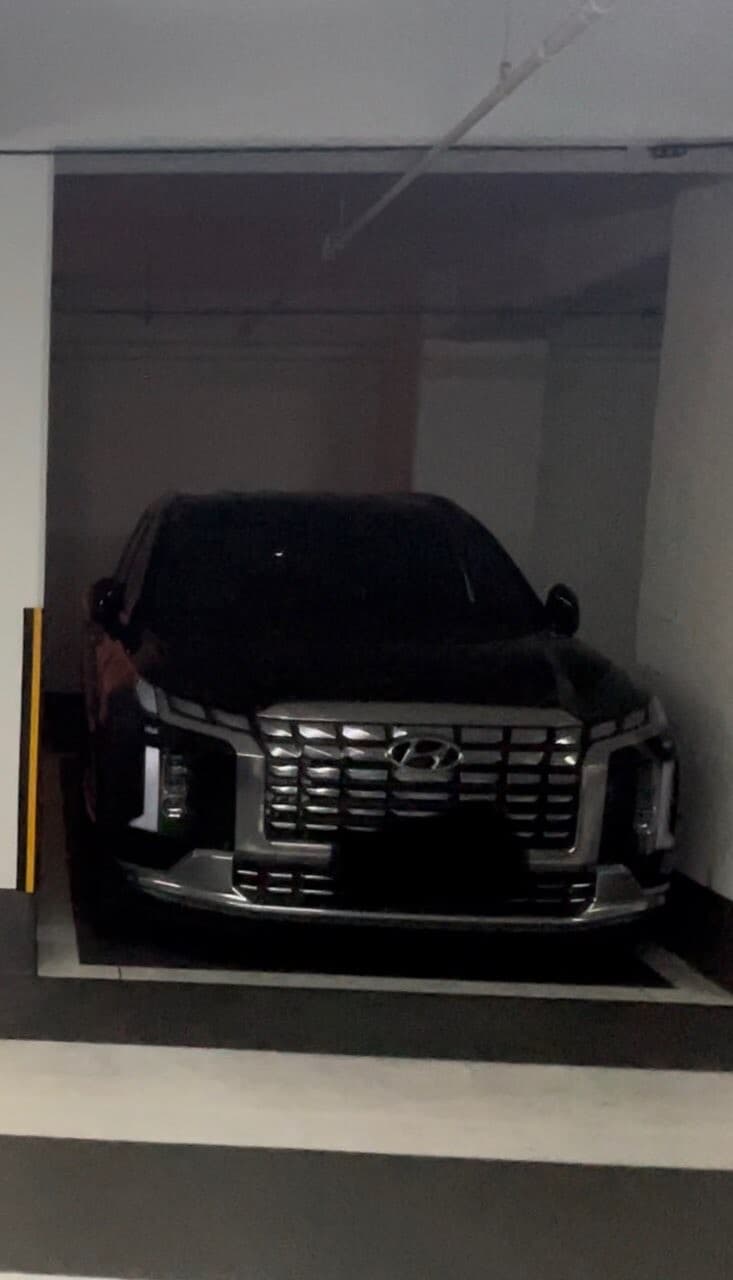 현대 팰리세이드 3.8 가솔린 캘리그라피 7인승 2WD 게시글 썸네일