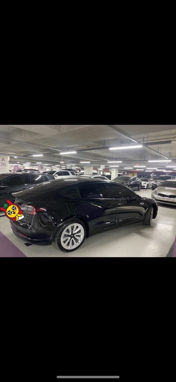 테슬라 모델3 구매 게시글 썸네일