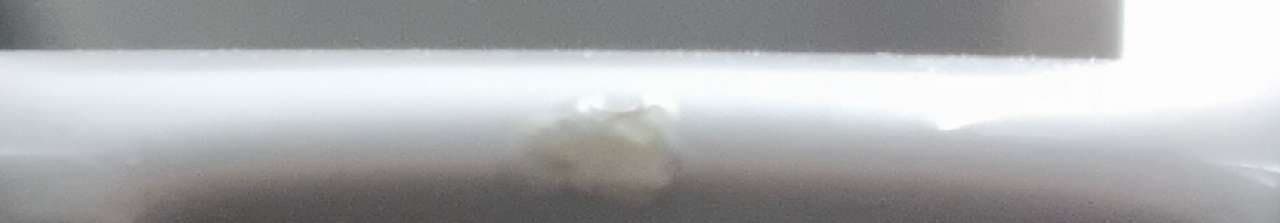 신차 검수는 할인이다 게시글 썸네일