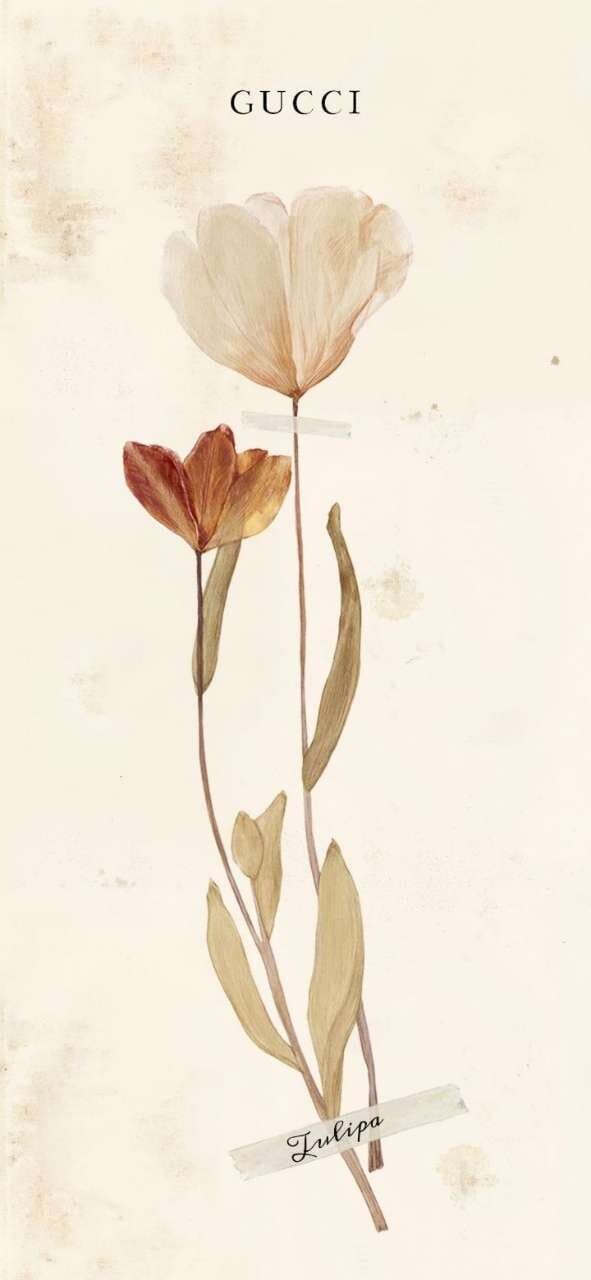 구찌 핸드폰 배경 공유해요 게시글 썸네일