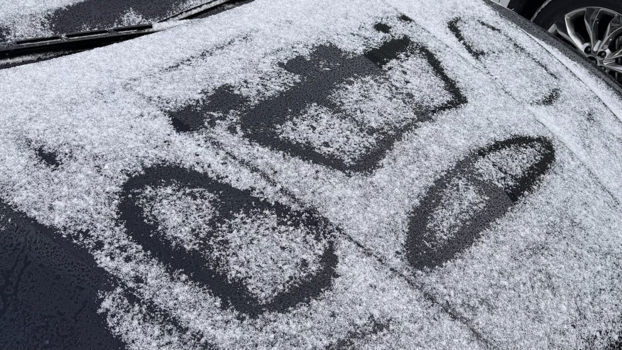 보닛에 그림을 그리는 피카소 게시글 썸네일