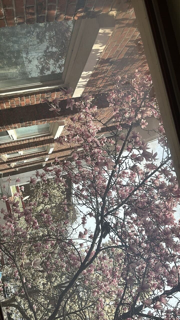 드라이브 가고 꽃보러 가고 싶다 게시글 썸네일