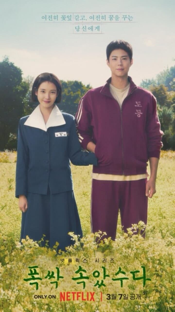 드라마 폭싹 속았수다 추천받은 어머니 반응. jpg 게시글 썸네일