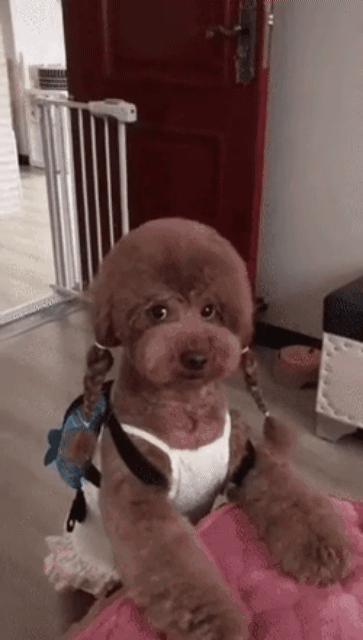 안웃기면 탈퇴합니다  게시글 썸네일