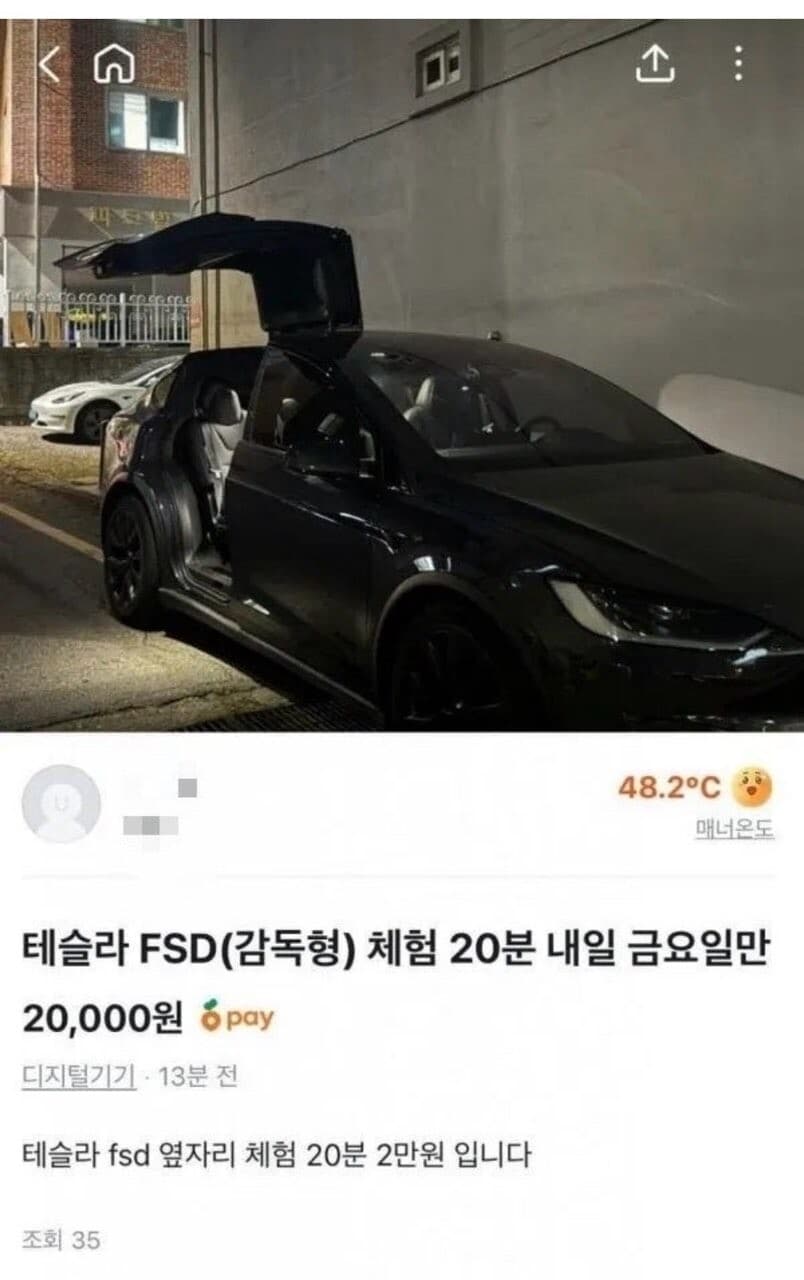 테슬라 FSD 오너 당근으로 부가수익 창출중 ㅋㅋ  게시글 썸네일