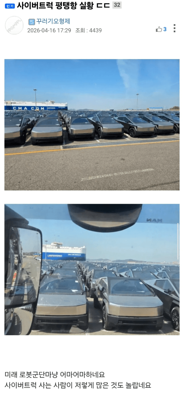 평택항에 입항된 사이버트럭 군단. jpg 게시글 썸네일